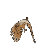 Fearow back animated