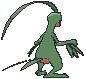 Grovyle back animated