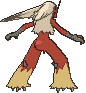 Blaziken back animated