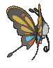 Beautifly back animated