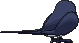 Taillow back animated