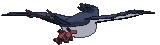 Swellow back animated