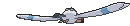Wingull back animated