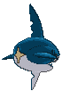 Sharpedo back animated