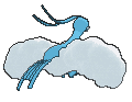 Altaria back animated
