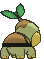 Turtwig back animated