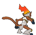Infernape back animated