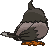 Starly back animated