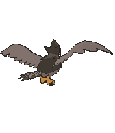 Staraptor back animated