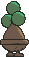 Bonsly back animated