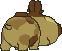 Hippopotas back animated