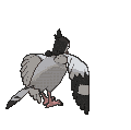 Tranquill back animated