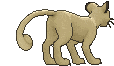 Persian back animated