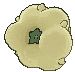 Whimsicott back animated