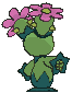 Maractus back animated