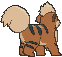 Growlithe back animated