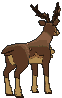 Spring Sawsbuck back animated