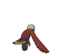 Braviary back animated