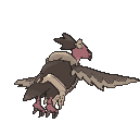 Mandibuzz back animated