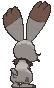 Bunnelby back animated