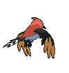 Fletchinder back animated