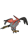 Talonflame back animated
