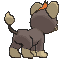 Litleo back animated