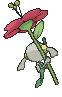 Red Floette back animated