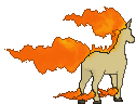 Rapidash back animated