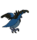 Corvisquire back animated