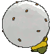 Eldegoss back animated