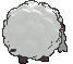 Wooloo back animated
