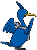 Cramorant back animated