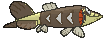 Arrokuda back animated