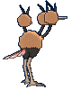 Dodrio back animated