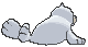 Seel back animated
