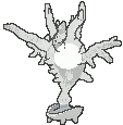 Cursola back animated