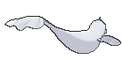Dewgong back animated