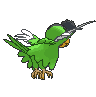 Green Plumage Squawkabilly back animated