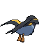 Wattrel back animated