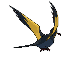 Kilowattrel back animated