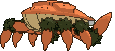 Klawf back animated
