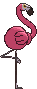 Flamigo back animated