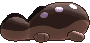 Clodsire back animated