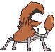 Kingler back animated