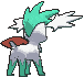 Sky Shaymin back shiny animated