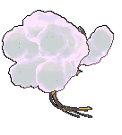 Mega Altaria back shiny animated
