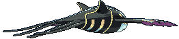 Primal Kyogre back shiny animated
