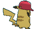 Partner Pikachu back shiny animated