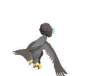 Hisuian Braviary back shiny animated